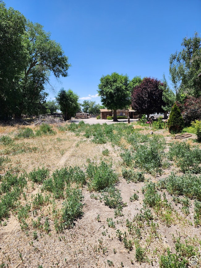 168 N 100 Rd W, Hinckley, UT 84635 - photo 2