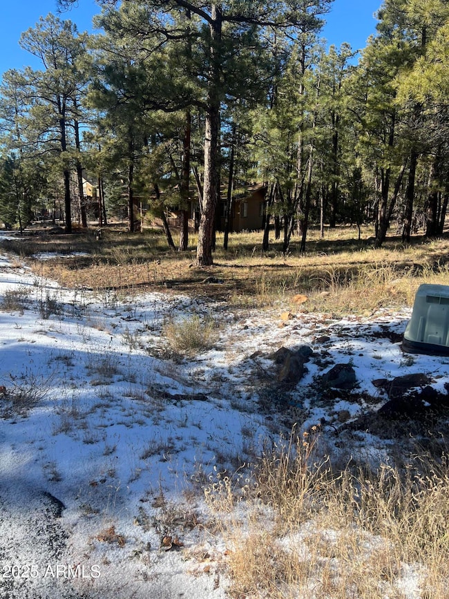 800 E Reindeer Dr, Munds Park, AZ 86017 - photo 7