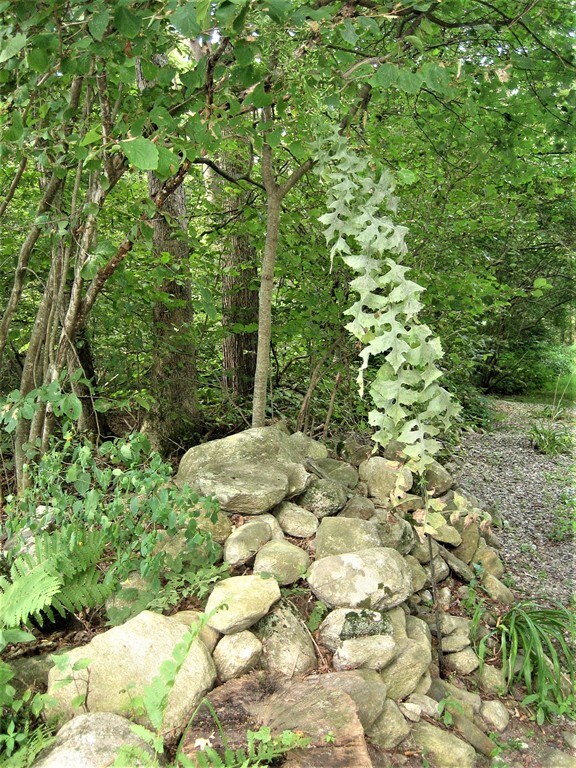 0 Gale Rd, Charlton, MA 01507 - photo 2