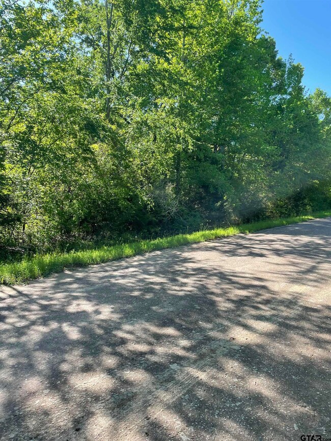 6001 County Road 233, Tyler, TX 75705 - photo 7