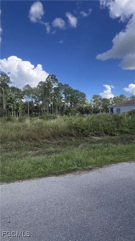 1206 Mcarthur Ave, Lehigh Acres, FL 33972 - photo 6