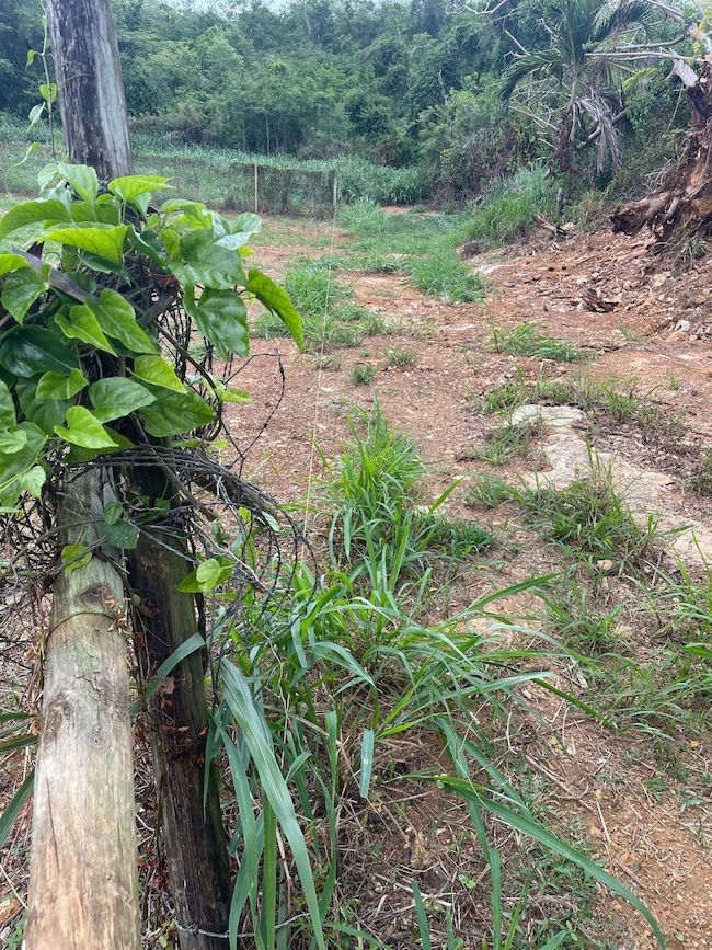 BO Mora 1 Brisas Del Atlántico, Isabela, PR 00662 - photo 4