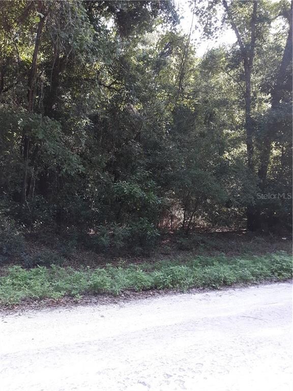 Lot 5 SW Alabama Glen, Fort White, FL 32038 - photo 2