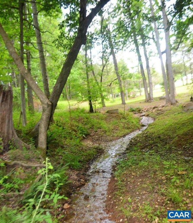 656 Mt Pisgah Church Dr, Orange, VA 22960 - photo 4