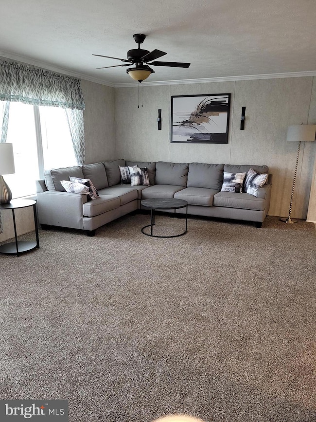 300 Hostetter Blvd, Middletown, DE 19709 - photo 5