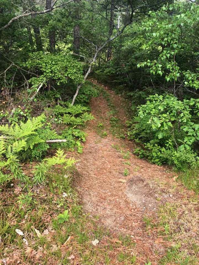 38 Knight Rd, Silver Lake, NH 03875 - photo 5