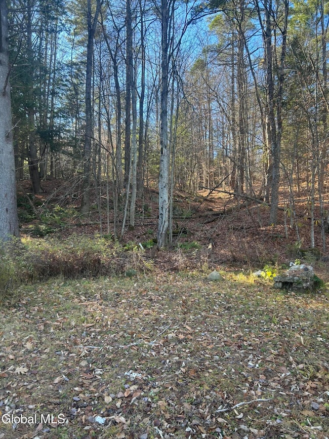3733 New York 28, North Creek, NY 12853 - photo 4