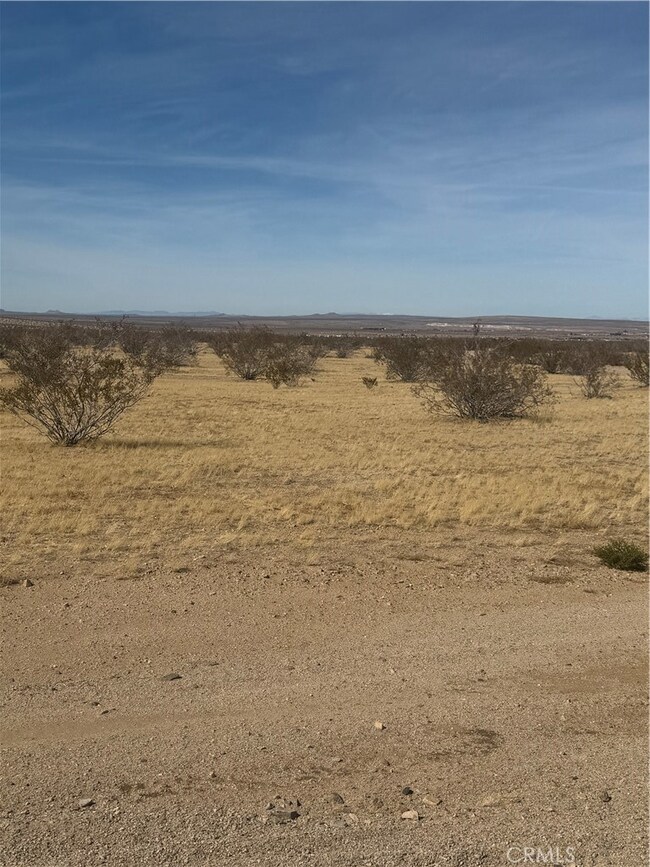 0 Sky View Rd unit RS25073683, Oro Grande, CA 92368 - photo 3