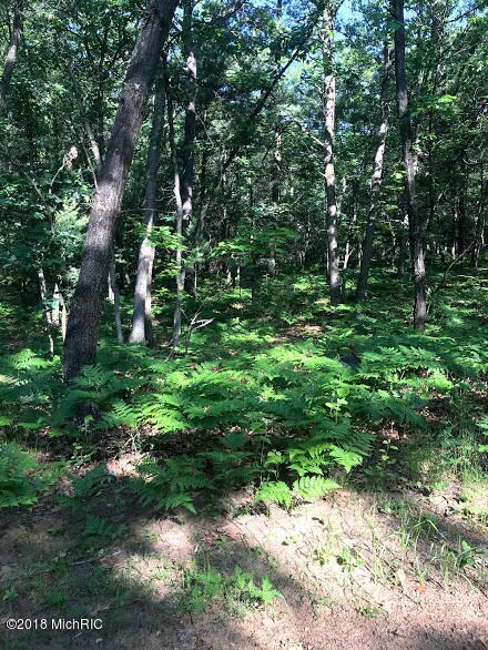 0 E 72nd St, Chase, MI 49623 - photo 2