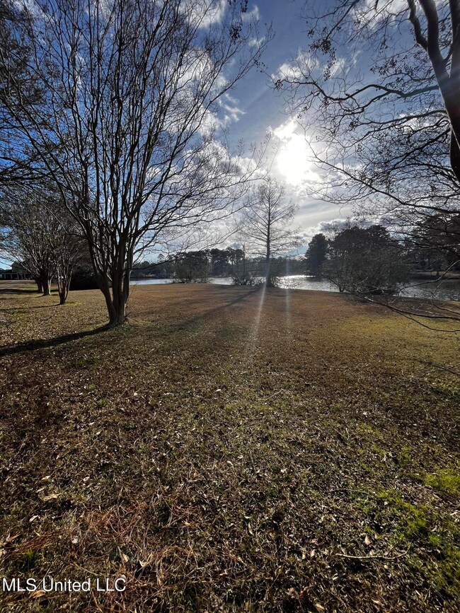 0 Cedar Ridge Rd, McComb, MS 39648 - photo 6
