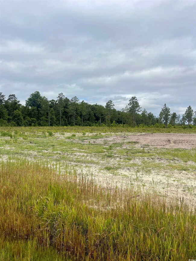 2832 Scarbrough Dr unit LOT 4, Loris, SC 29569 - photo 4