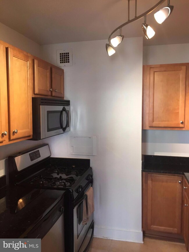 Mica Condominiums unit 1110, Silver Spring, MD 20910 - photo 6