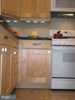 1612 Mount Eagle Place unit 1612, Alexandria, VA 22302 - photo 3