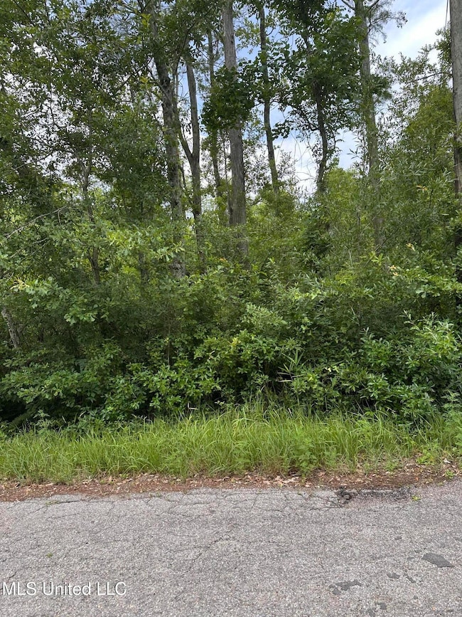 0 Martin St, Moss Point, MS 39563 - photo 2