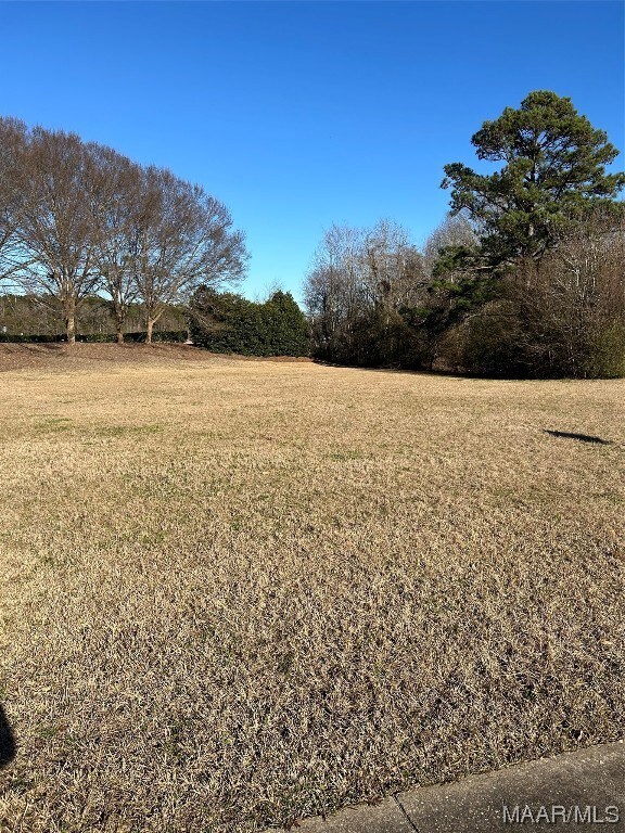 53 Mullis Creek, Pike Road, AL 36064 - photo 5