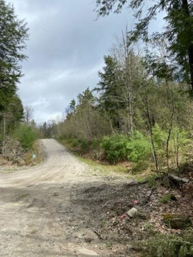 Lot 44-4 Bog Rd, Hillsborough, NH 03244 - photo 3