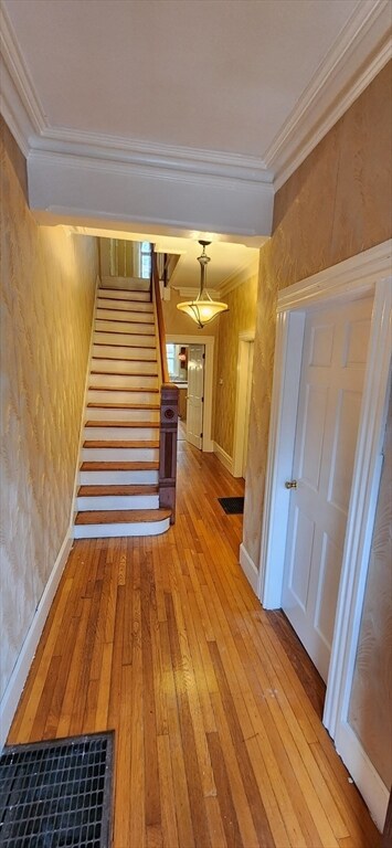 842 E 5th St, Boston, MA 02127 - photo 2