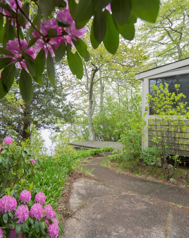 20170529 cottage 5D Filename11577