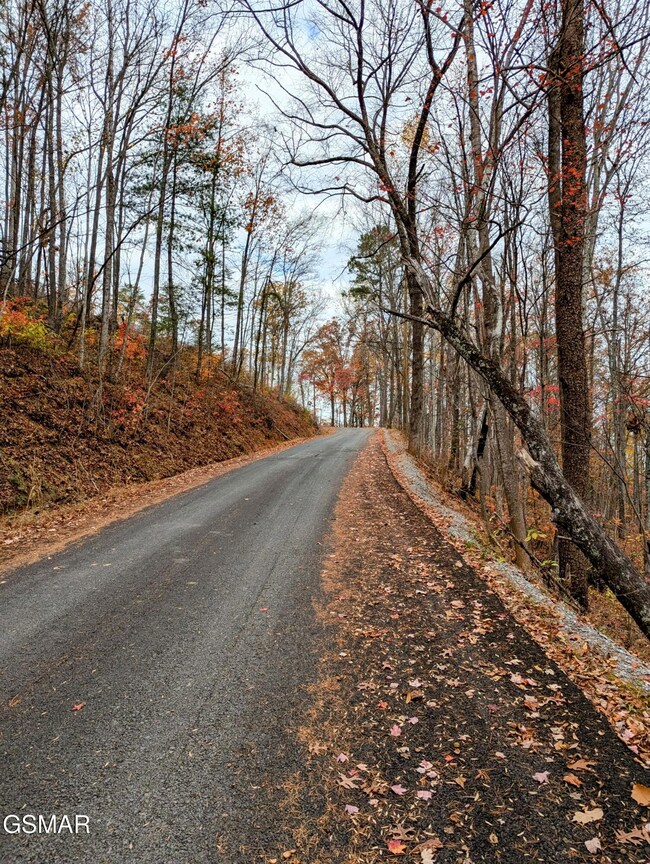 2313 Grey Fox Run, Sevierville, TN 37862 - photo 2