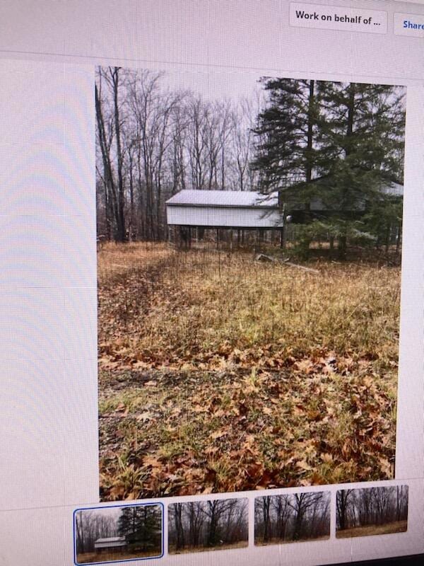 7347 Paradise Trail, Carp Lake, MI 49718 - photo 5