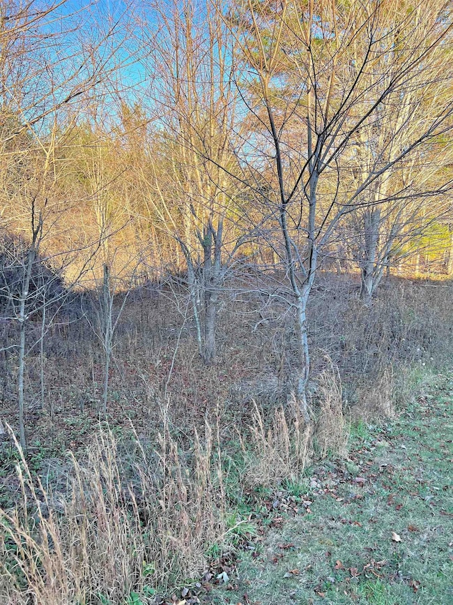 TBD River View Ln, Hiwassee, VA 24347 - photo 5