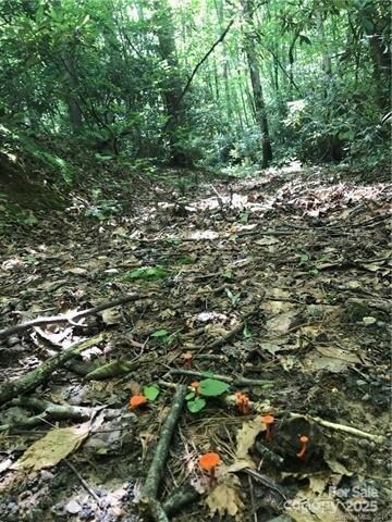 172 Crimson Dr unit 995, Old Fort, NC 28762 - photo 2