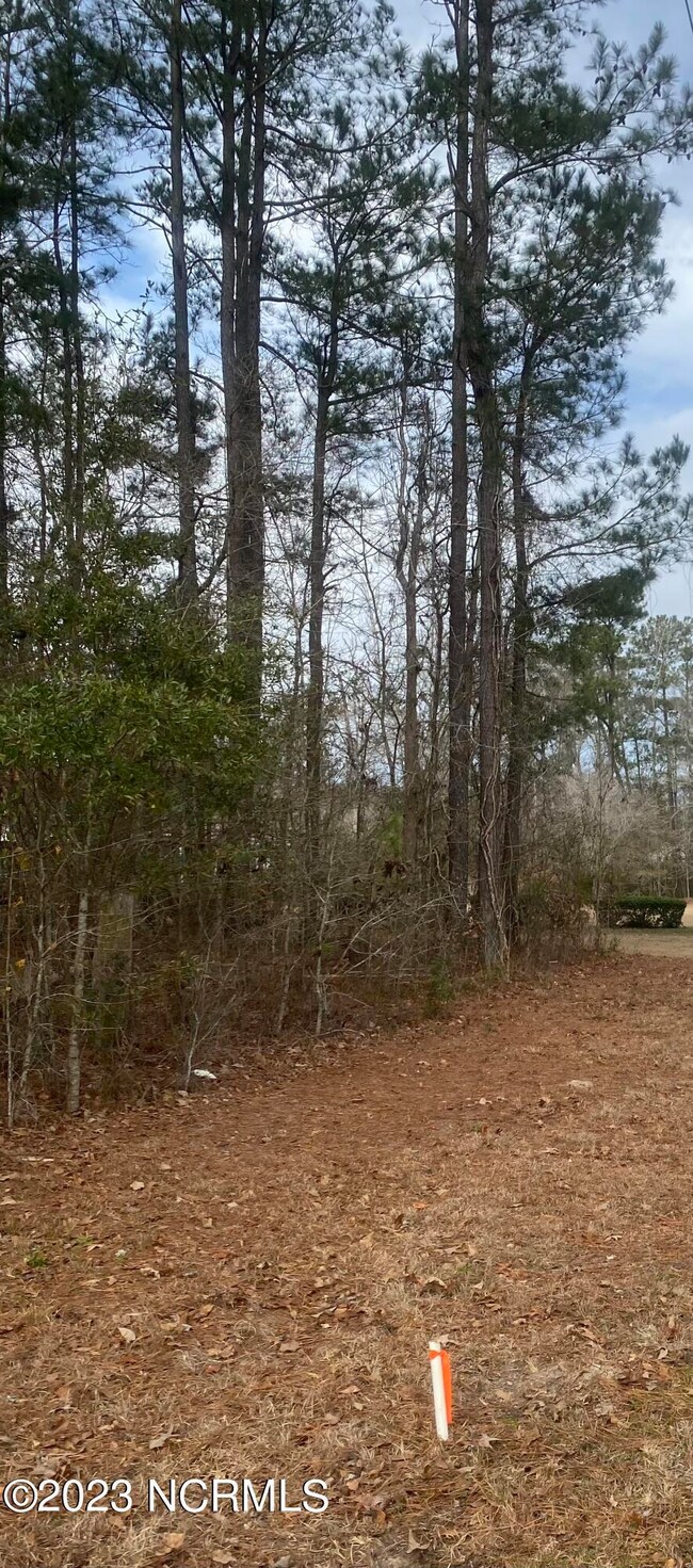 photo of church lot 1