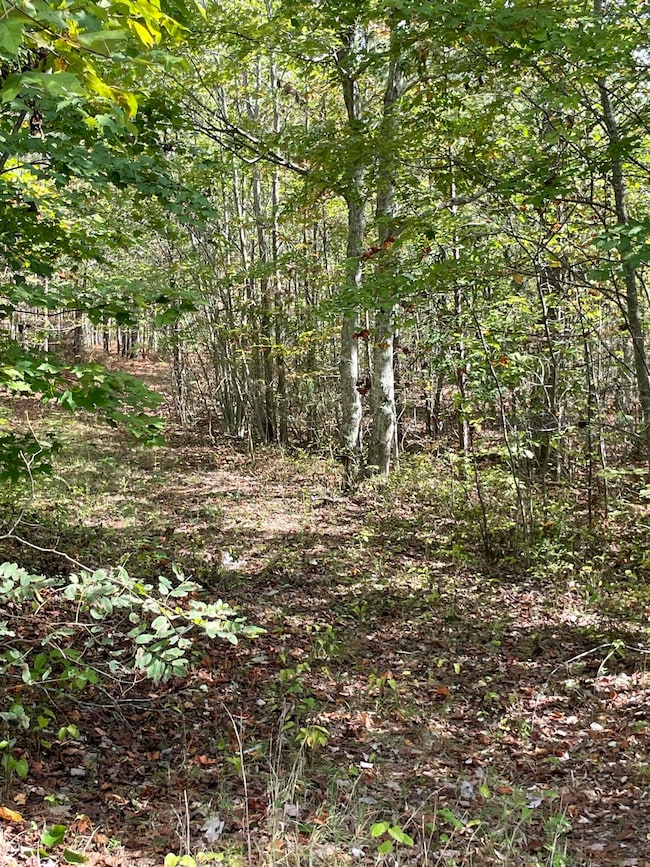 3685 Crockett Pointe, Jasper, TN 37347 - photo 2