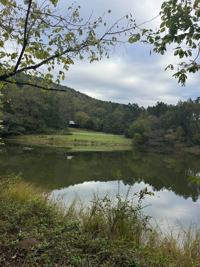 County Road 175, Estillfork, AL 35475 - photo 6