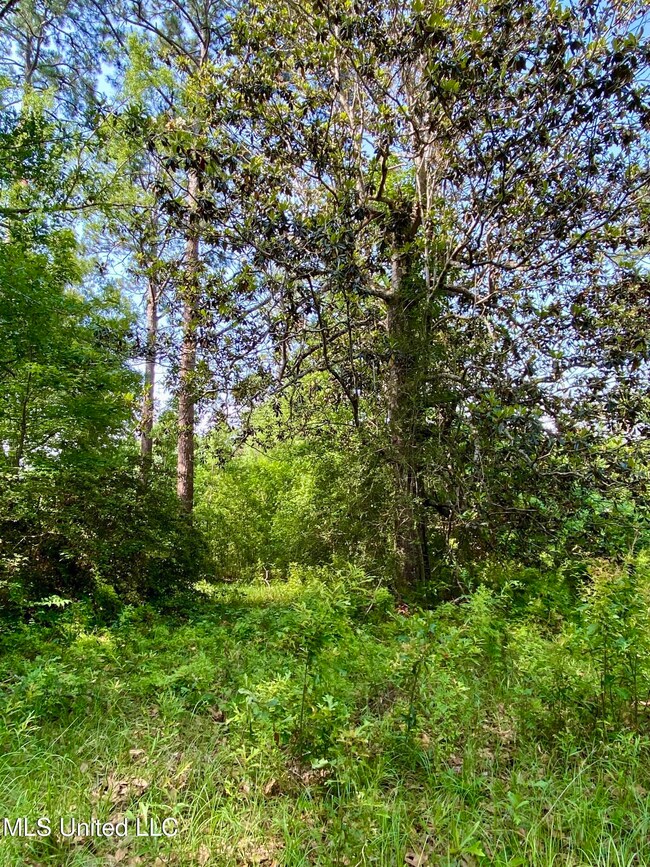 1396 Neal Rd, Picayune, MS 39466 - photo 2