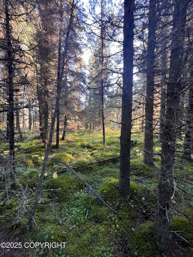 L8 Shegota Loop, Happy Valley, AK 99639 - photo 3