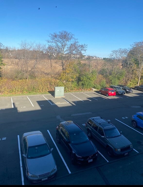 14 Leverett Ave unit 5, Boston, MA 02128 - photo 6