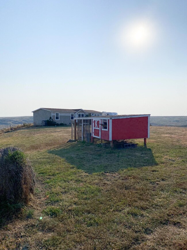 Chicken Coop