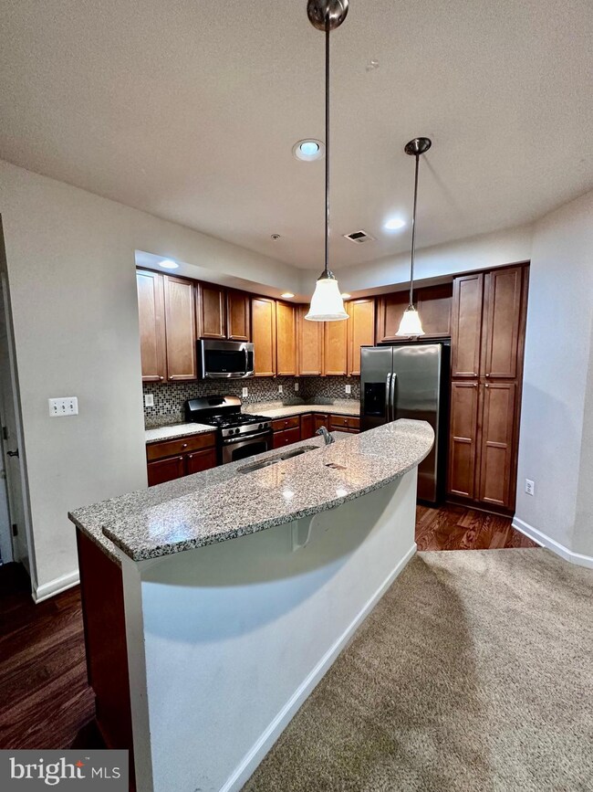 908 Hall Station Dr unit 101, Bowie, MD 20721 - photo 2