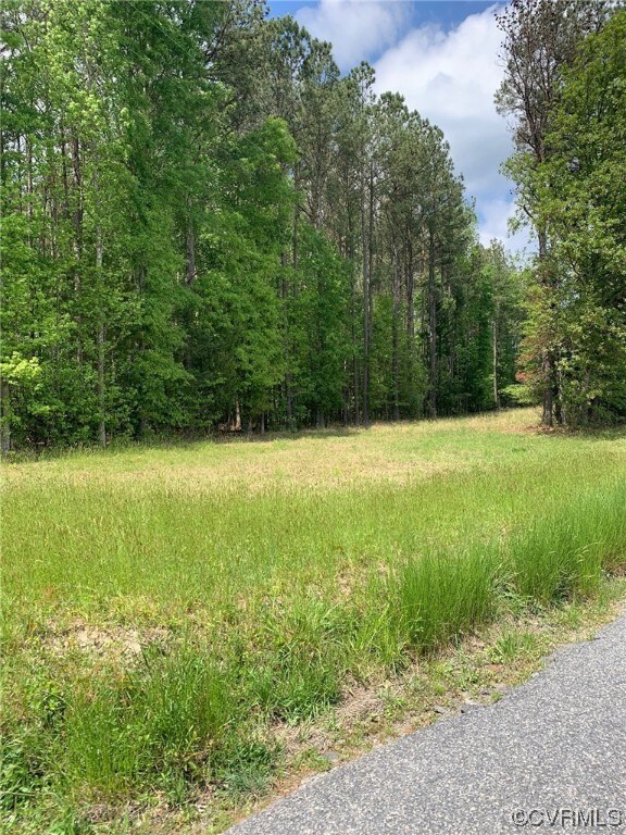 0 Skyron Ct, King William, VA 23086 - photo 4