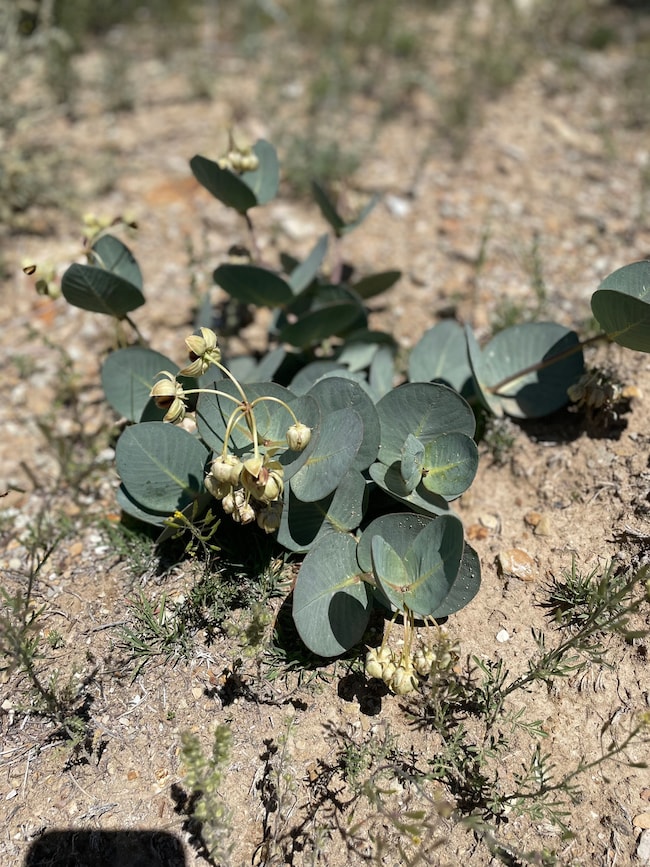 14180 High Mesa Loop unit 66, Duchesne, UT 84021 - photo 6