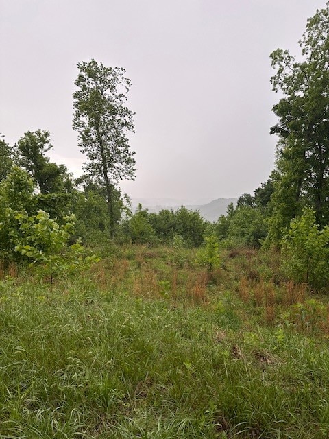 0 Schelley Rd, Gainesboro, TN 38562 - photo 5