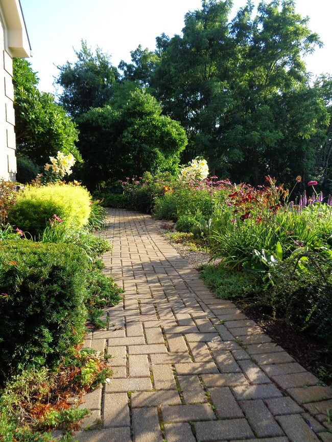 GLORIOUS PATH FROM THE JUST SEAL COATED DRIVEWAY T