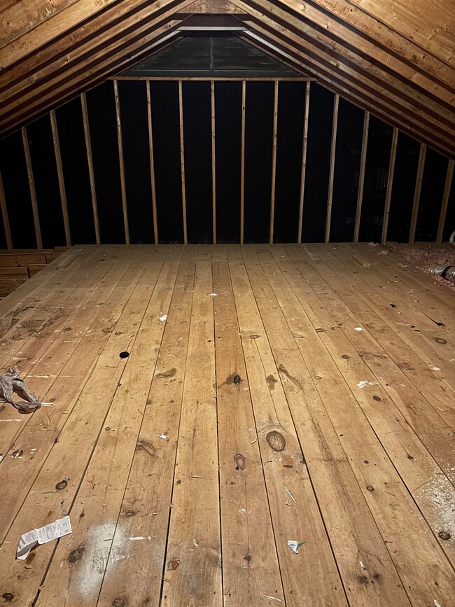 View of unfinished attic