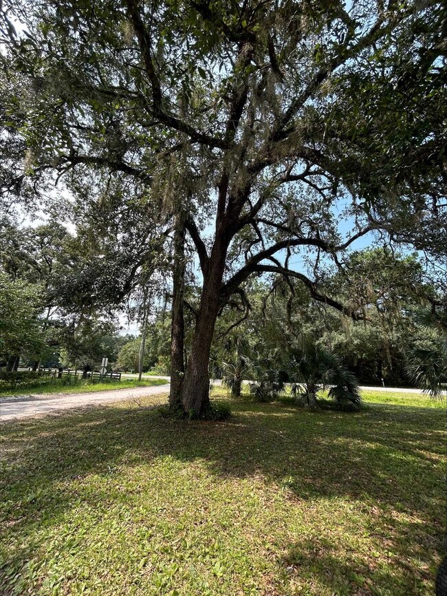 13 Harrell Ln, Crawfordville, FL 32327 - photo 2