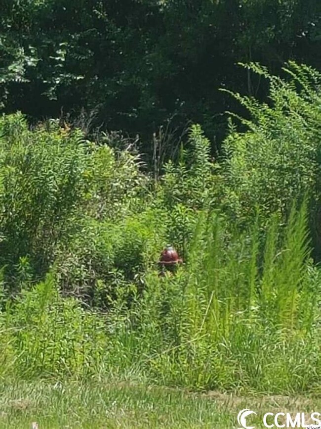 TBD Highway 9 Bypass, Loris, SC 29569 - photo 4