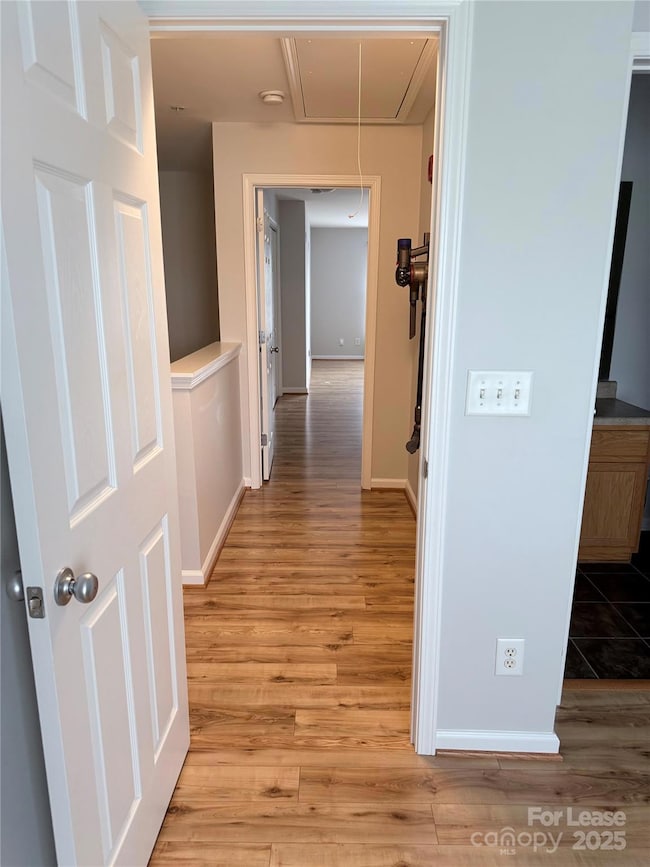 3631 Warp St unit 3631, Charlotte, NC 28205 - photo 7