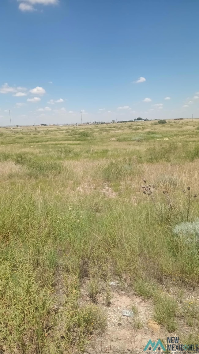 000 Marion Richards Rd, Roswell, NM 88201 - photo 4