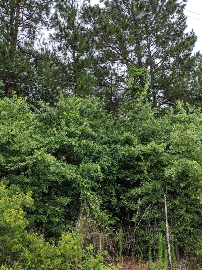 25153 Blackburn Dr, Splendora, TX 77372 - photo 6