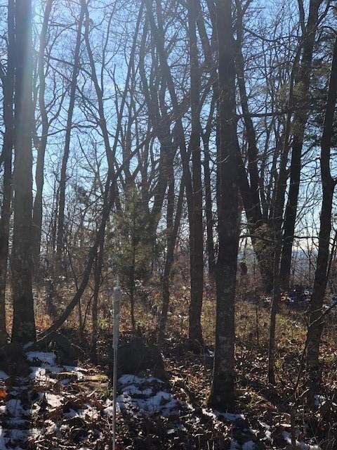 11763 Bunyard Rd, Winslow, AR 72959 - photo 7