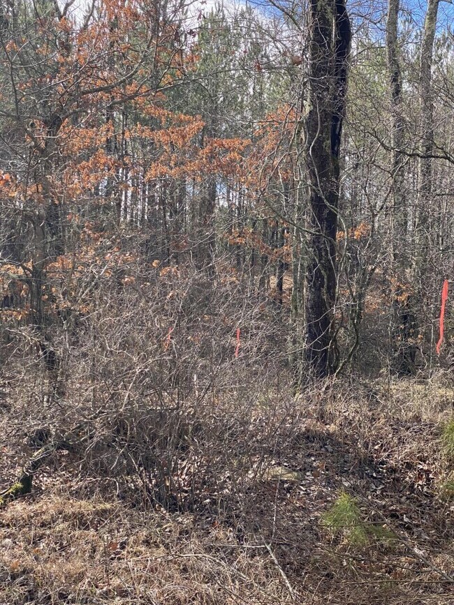 Lot 6 Thomas Springs Rd, Crossville, TN 38572 - photo 5