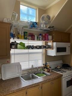 Sink area Kitchen