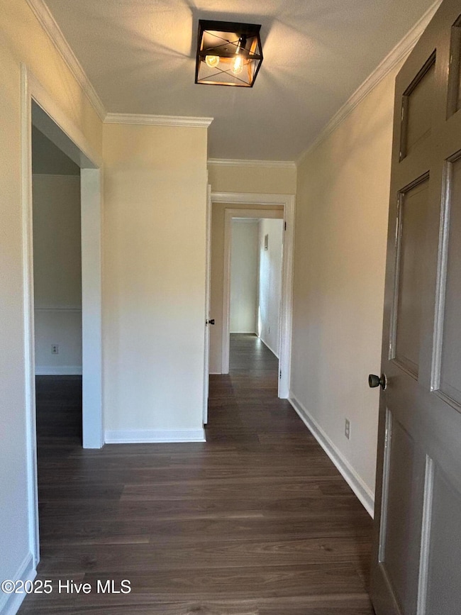 247 Vaughans Creek Rd, Murfreesboro, NC 27855 - photo 4