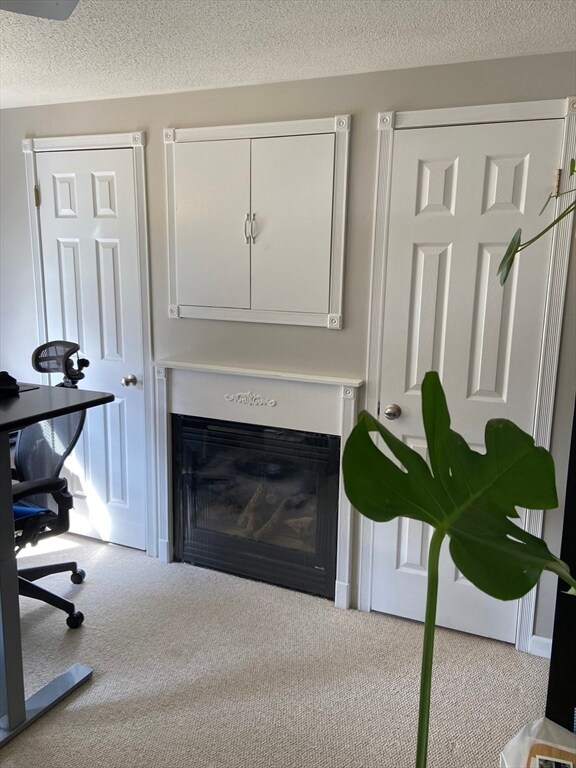 19 Meadowbrook Dr, Sunderland, MA 01375 - photo 5