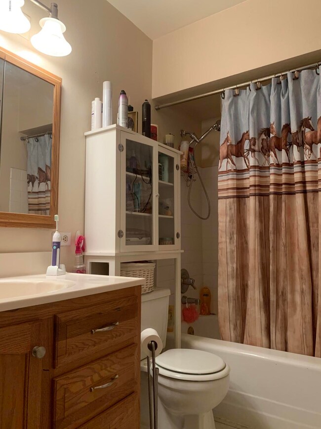 Hall Bathroom